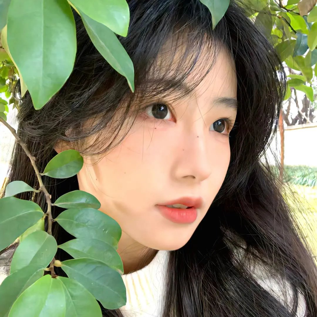 罗马王子