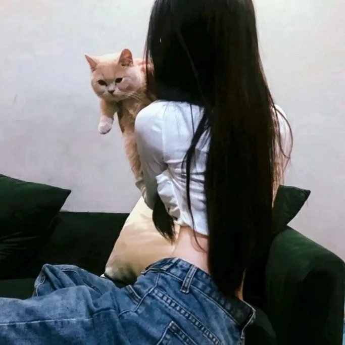 钢铁玫瑰